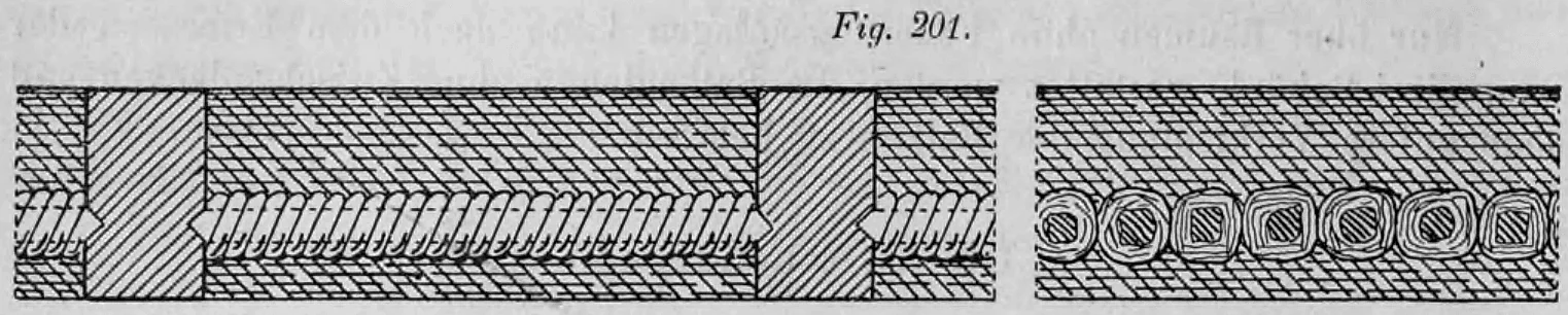 Fig. 201: Querschnitt eines ganzen Windelbodens.