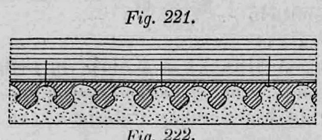 Fig. 221: Profil eines profilierten Deckengewebes.