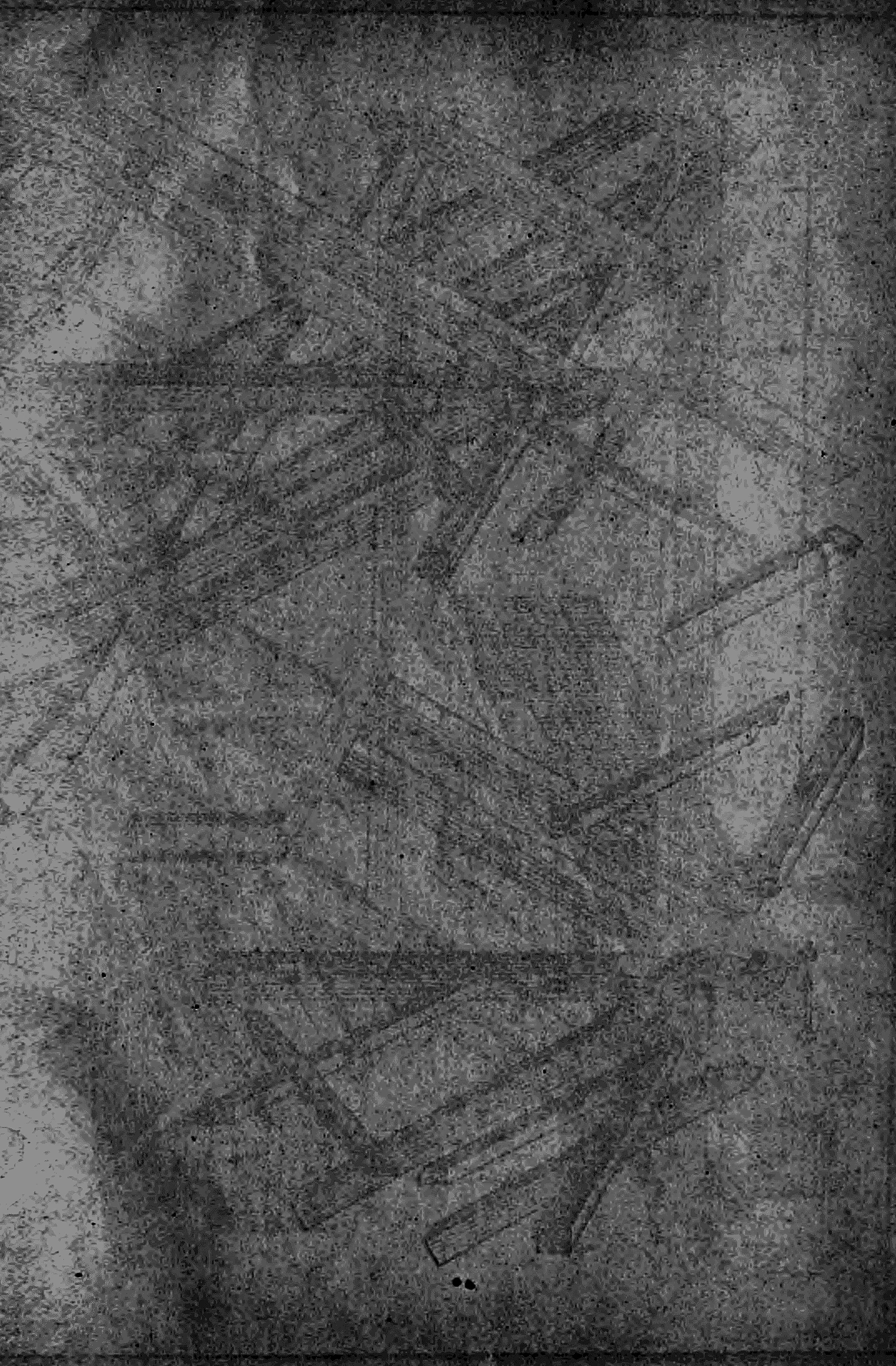 Tafel 6 u. 7: Isometrische Ansichten und Aufrisse von Dachstühlen.