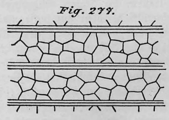 Schematische Darstellung eines Cyklopenmauerwerks mit horizontalen Ziegelsteinschichten.