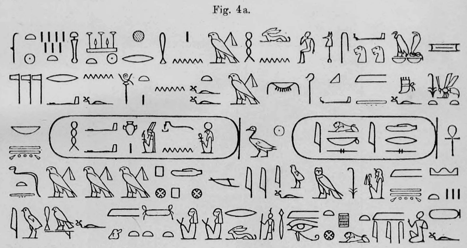 Fig. 4a: Eine fünfzeilige hieroglyphische Inschrift mit verschiedenen Symbolen und Schriftzeichen.