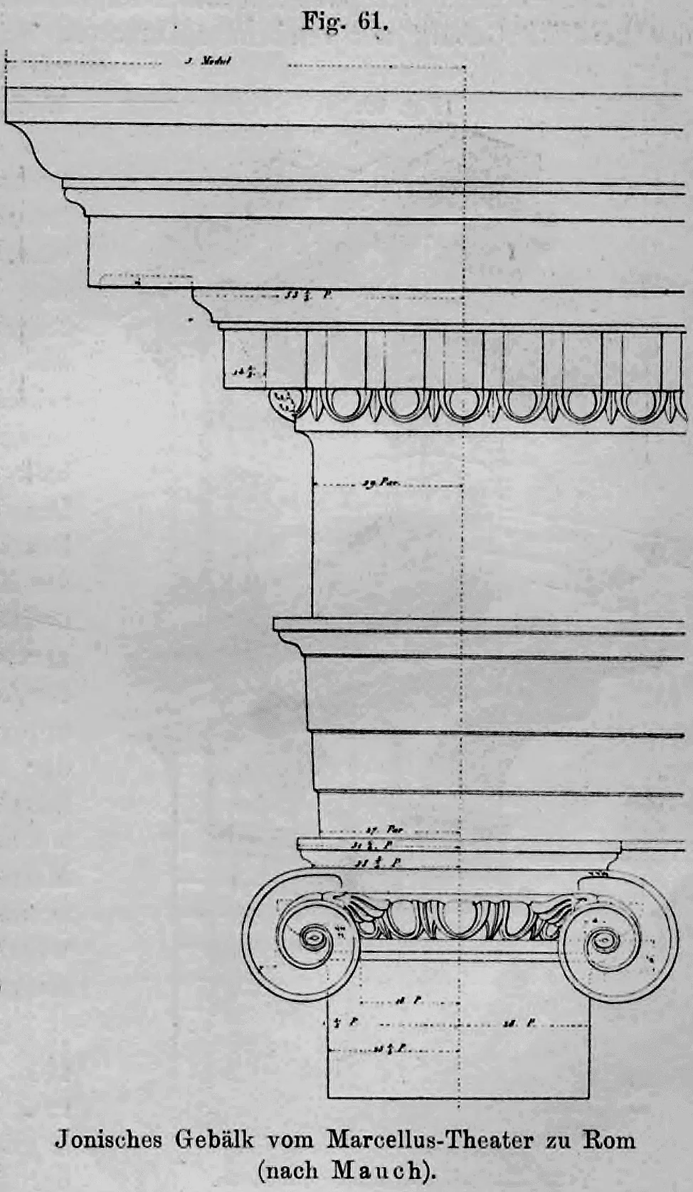 Fig. 61: Technische Zeichnung eines römisch-ionischen Gebälks und Kapitells.