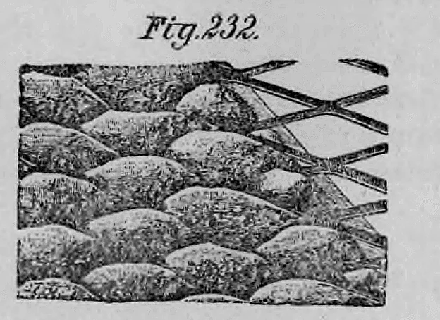 Fig. 232: Struktur von aufgetragenem Putz auf metallischem Trägergewebe.