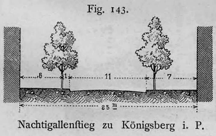 Straßenquerschnitt des Nachtigallenstiegs in Königsberg in Preußen.