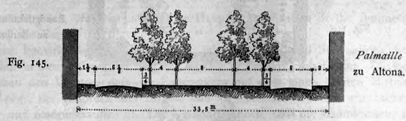 Schematisches Straßenquerprofil der Palmaille in Altona mit Maßangaben und vierreihiger Baumallee.