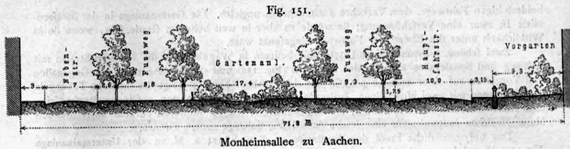 Schematischer Straßenquerschnitt (Querprofil) der Monheimsallee in Aachen mit einer Gesamtbreite von 71,8 Metern.