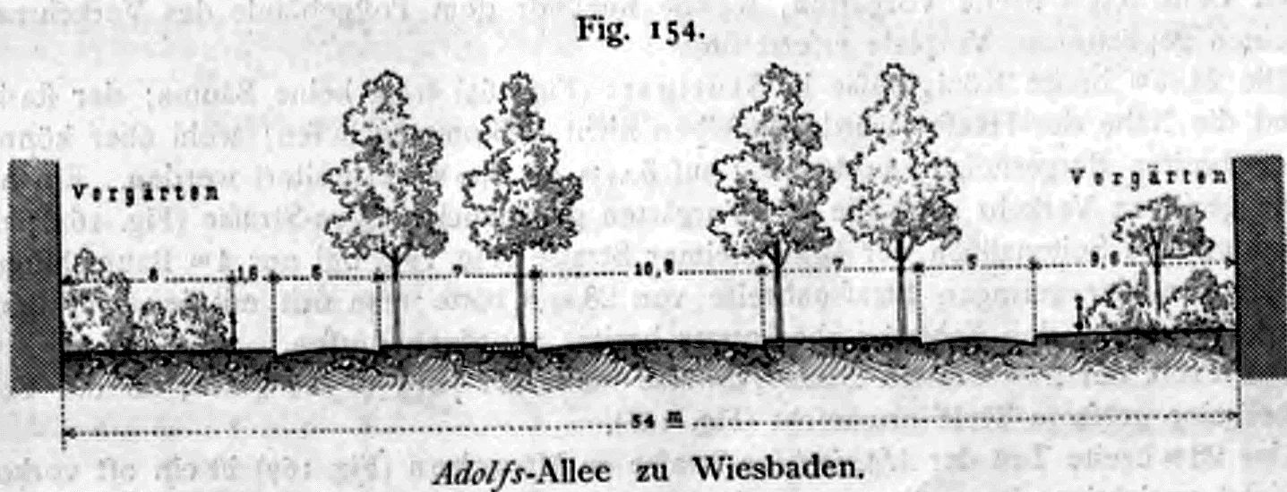 Schematisches Straßenquerprofil der Adolfs-Allee in Wiesbaden mit einer Gesamtbreite von 54 Metern.
