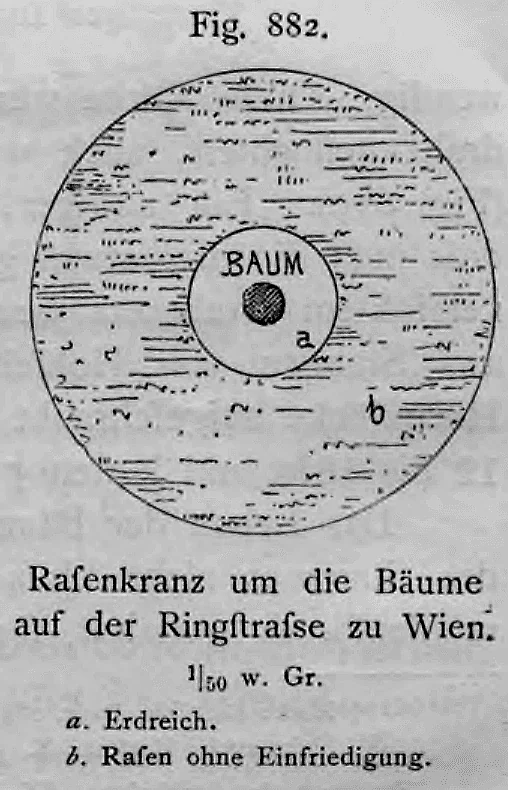Schematischer Grundriss eines kreisrunden Rasenkranzes um einen Straßenbaum auf der Wiener Ringstraße.