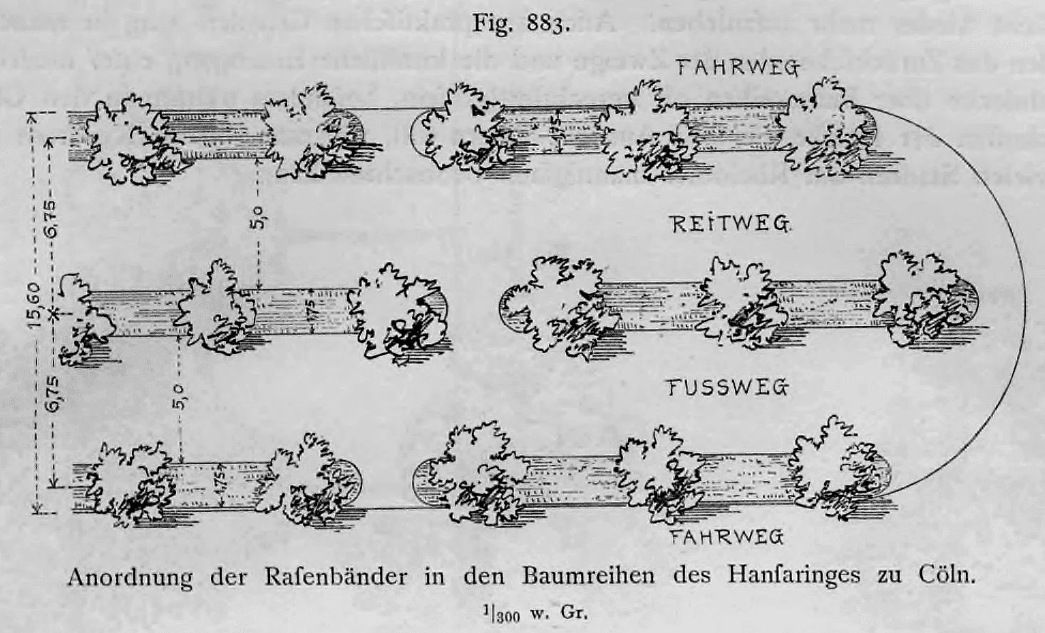 Grundrissplan zur Anordnung von Rasenbändern und Baumreihen am Hansaring in Köln.